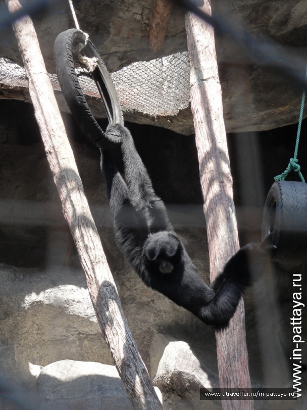 photo 32732