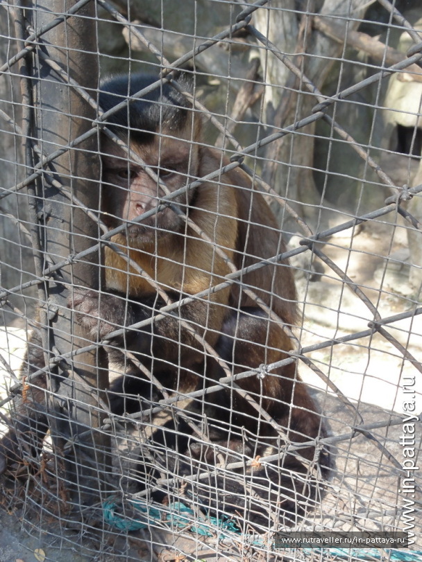 photo 32735