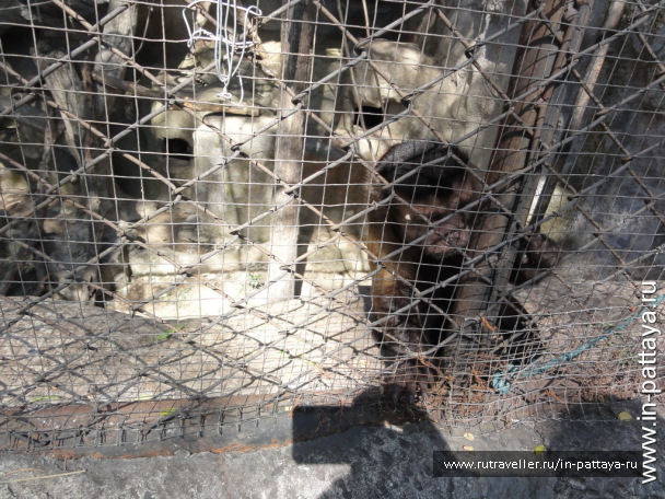 photo 32736