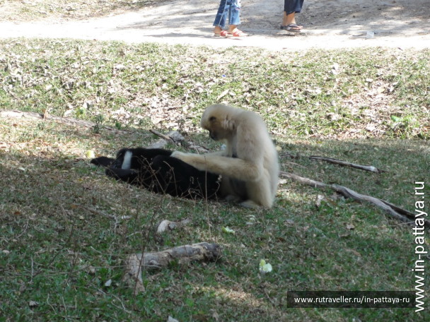photo 32770