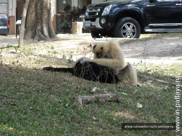 photo 32771