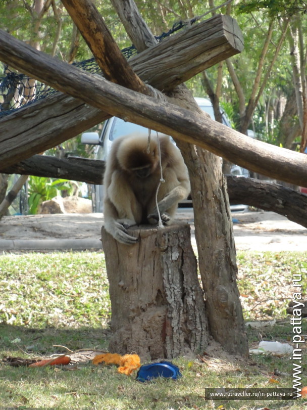 photo 32772