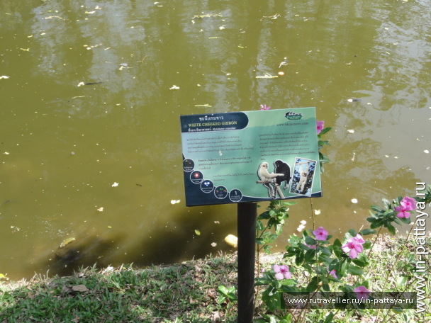 photo 32777