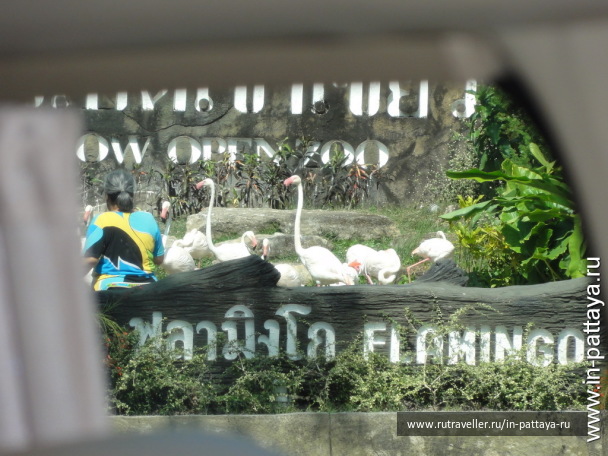 photo 32778