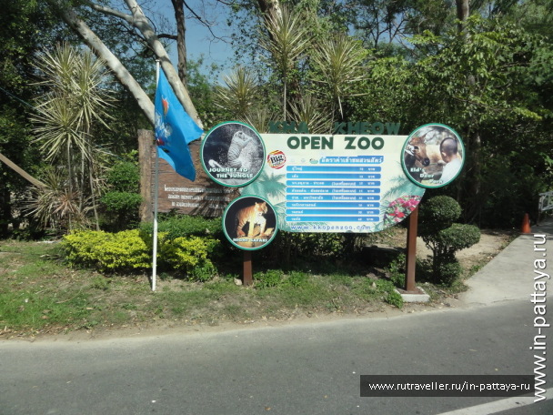 photo 32781