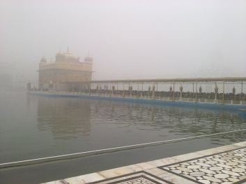 photo 239242