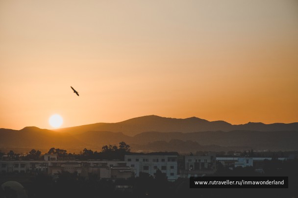 photo 1623861