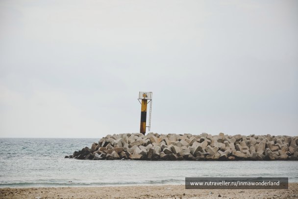photo 1623872