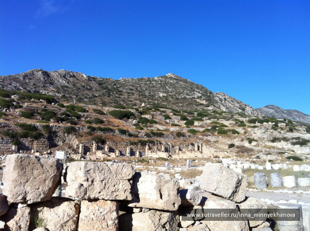 photo 33732