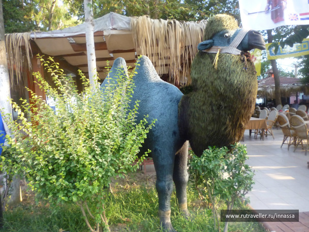 photo 472733