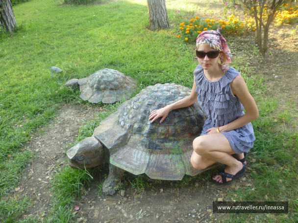 photo 472737