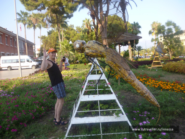 photo 472738