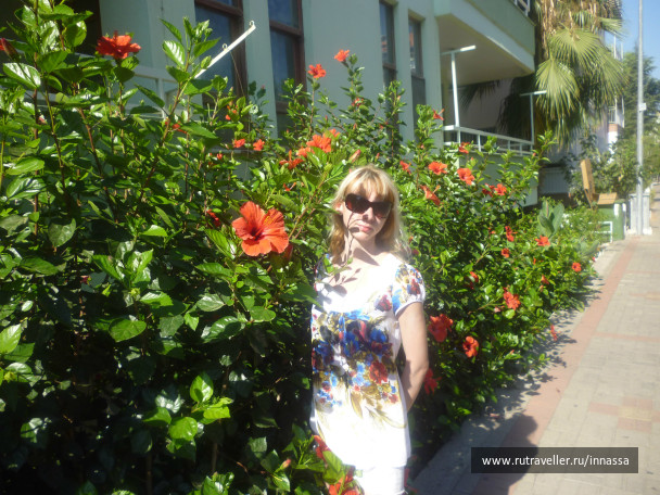 photo 472742