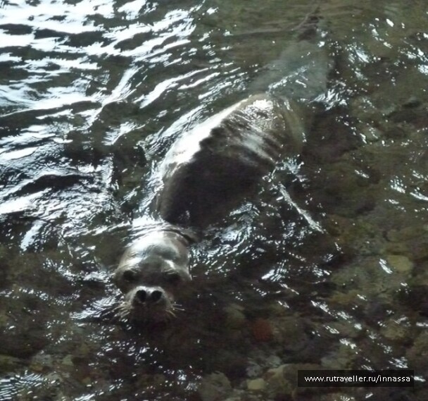 photo 472750
