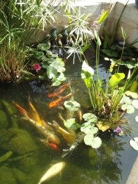 photo 952698
