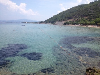 photo 1335942