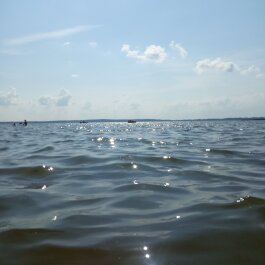 photo 2059309