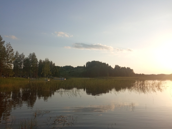 photo 2059314