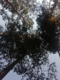 photo 2106412