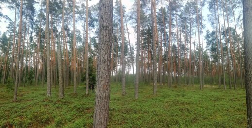 photo 2106419