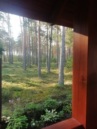 photo 2106421