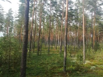 photo 2106423