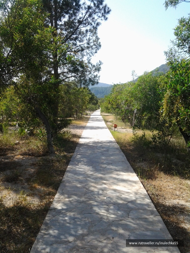 photo 1031812