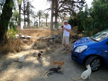 photo 164282
