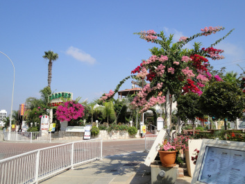 photo 228227