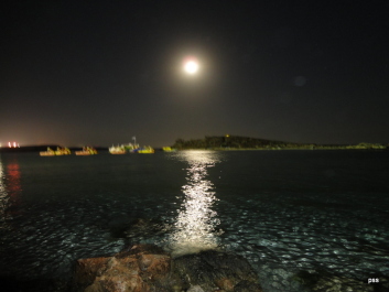 photo 232775