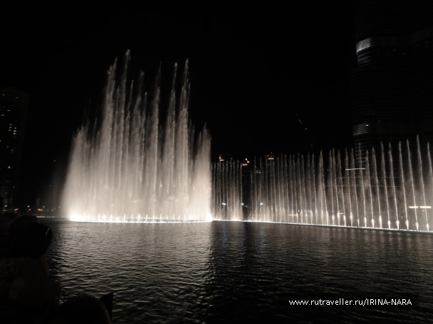 photo 565356