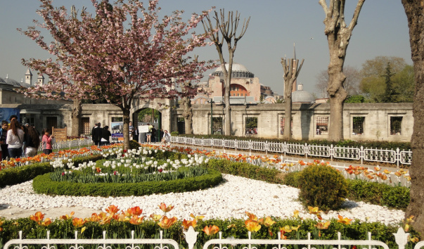 DSC01899