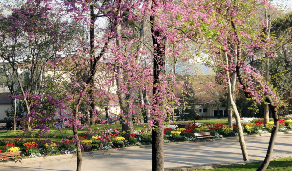 DSC02003