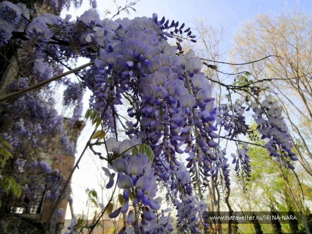 photo 357922