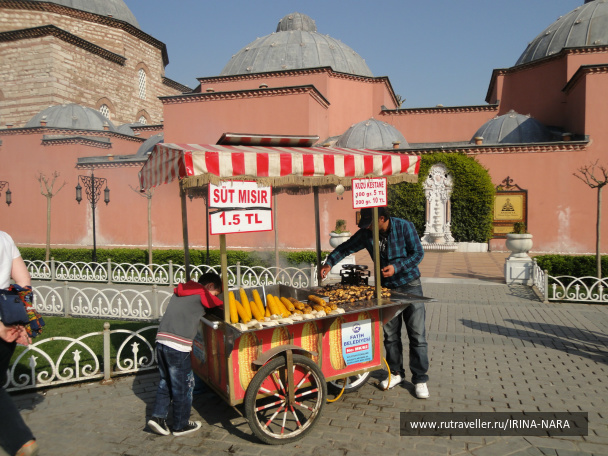 photo 425677