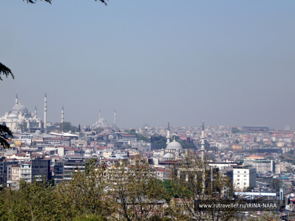 photo 425682