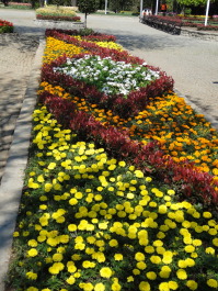 photo 567140