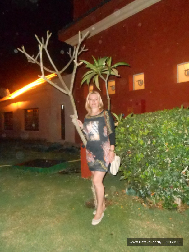 photo 1014797