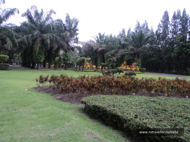 photo 383541