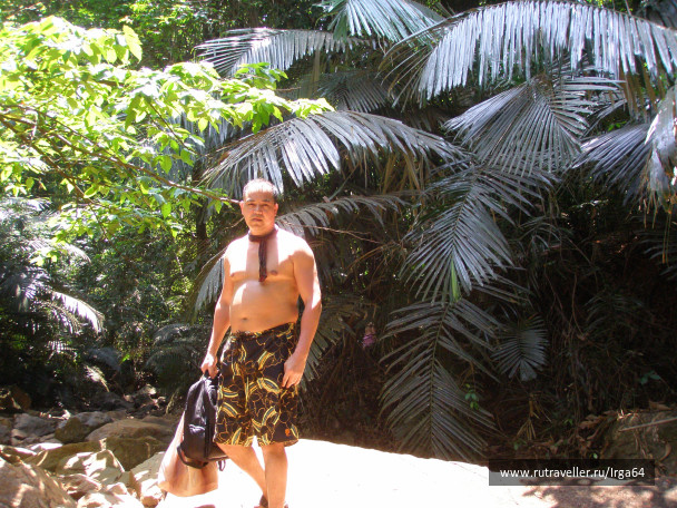 photo 146198