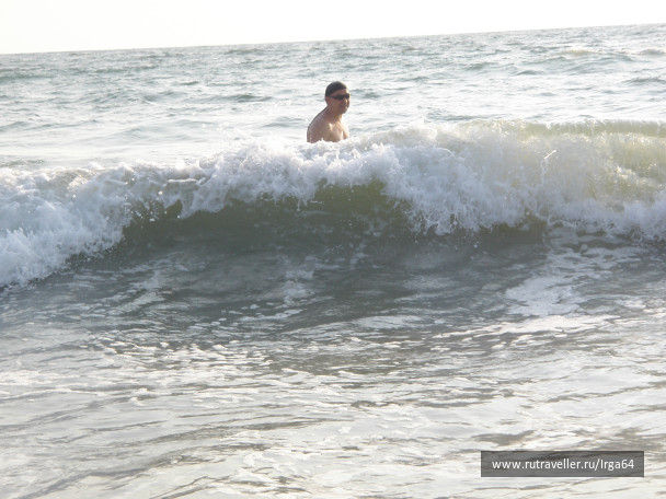 photo 146212