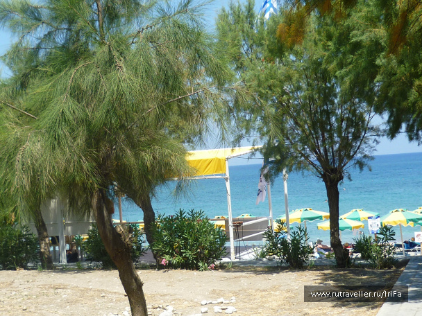 photo 454613