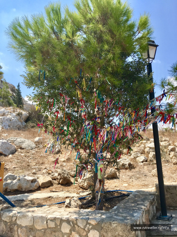 photo 1579098