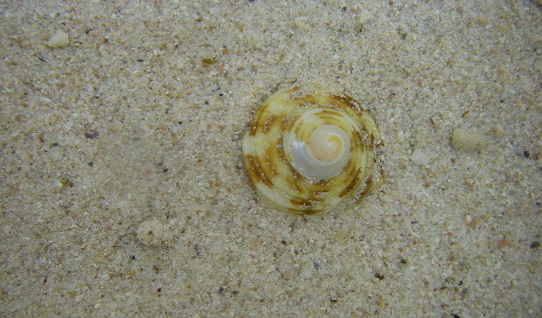 IMGP0419
