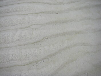 photo 1467225