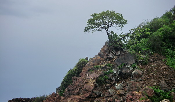 IMGP0433