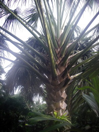 photo 1493681