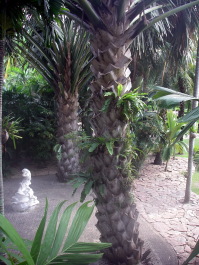 photo 1493682