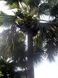 photo 1493701