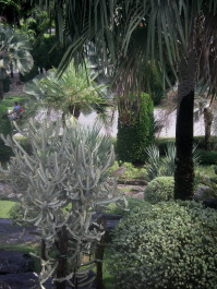 photo 1493761